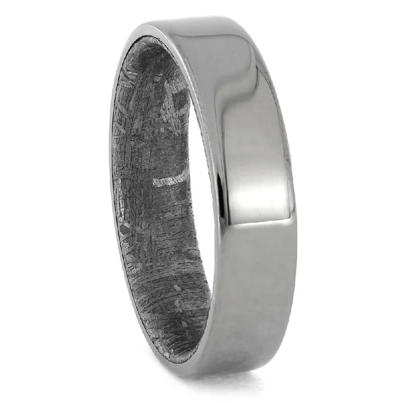 women's rose quartz engagement rings-Men's Meteorite Sleeve Titanium Wedding Band