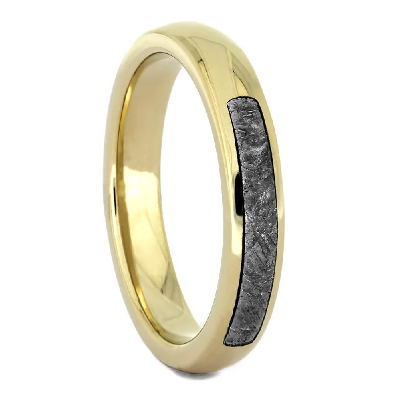 women's bold engagement rings-Thin Wedding Band with Gibeon Meteorite